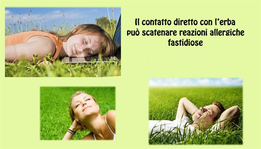 Dermatite dei prati Dermatite dei prati